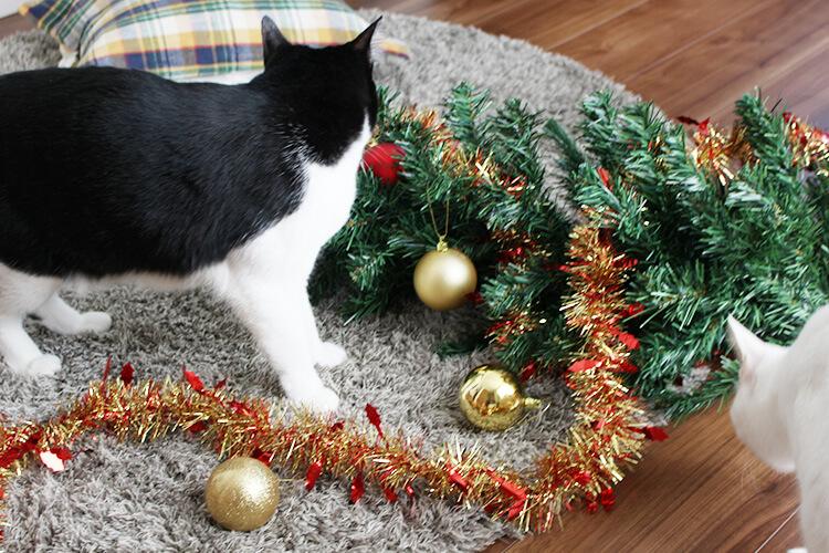 クリスマスツリーを壊す猫