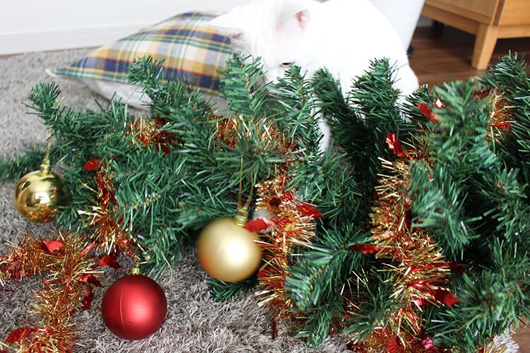 クリスマスツリーを襲う猫