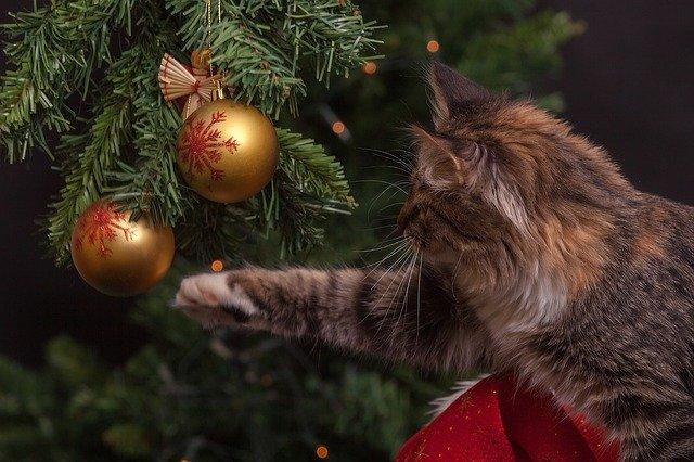 クリスマスツリーの猫対策 安全で壊されないおすすめツリー4選 