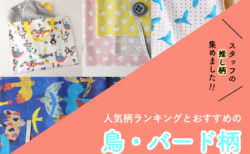 鳥柄の生地まとめ