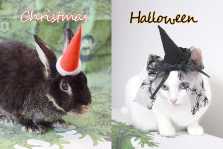 簡単！ペット用（猫・犬・うさぎなど）サンタ帽子と魔女帽子の作り方