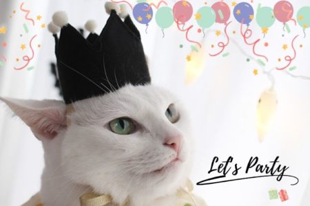 ペット用クラウン