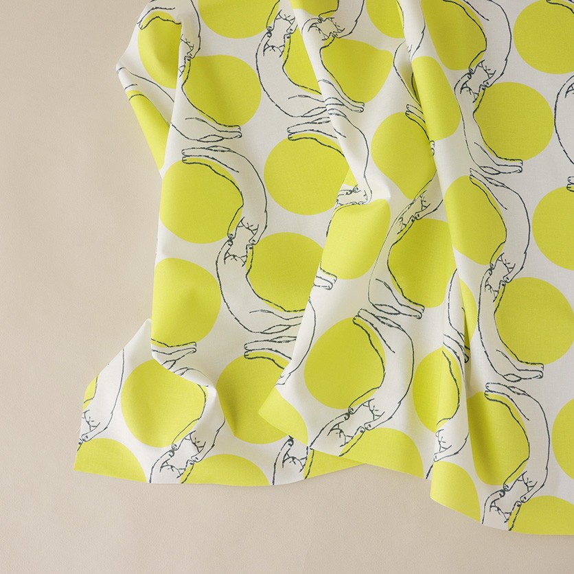 ねこと皿（ホワイト＆ネオン）／藤原千晶