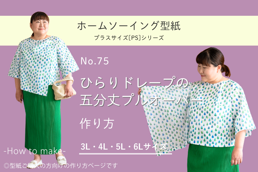 �ץ饹�������ڥۡ��ॽ�����󥰷��楷�꡼����No.075_�Ҥ��ɥ졼�פθ�ʬ��ץ륪���С��������